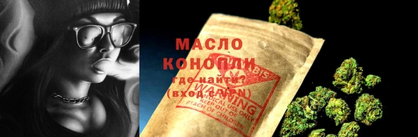 молекула духа Усинск