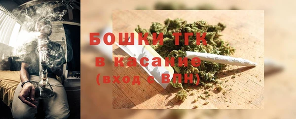 молекула духа Усинск